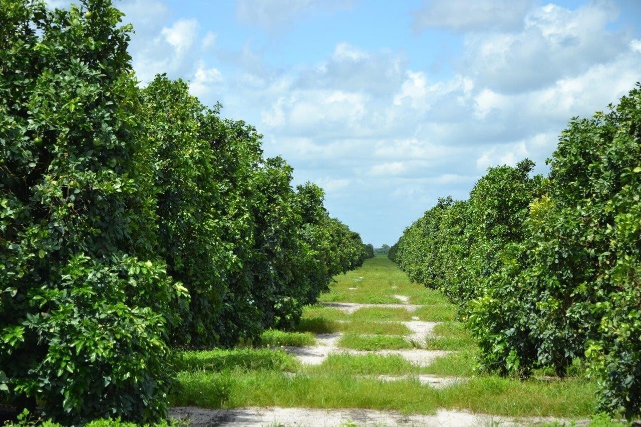 State Road 60, Vero Beach, FL for sale Building Photo- Image 1 of 1