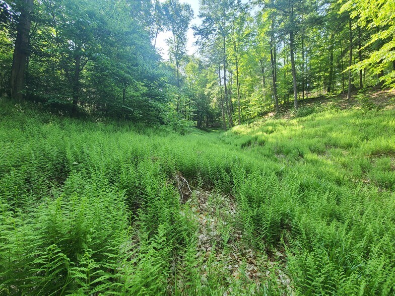 0 NYS 69, Taberg, NY for sale - Primary Photo - Image 1 of 1