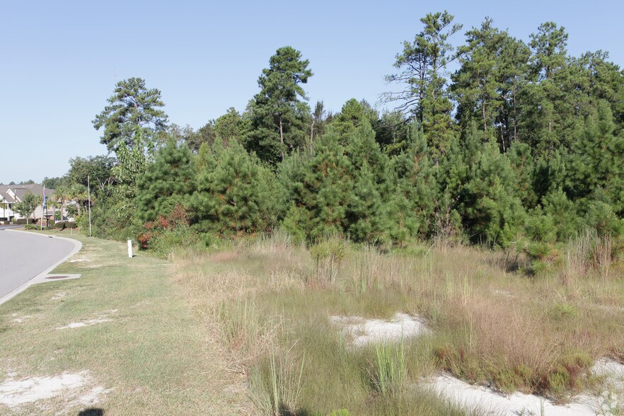 10 Rice Meadow Way, Columbia, SC 29229