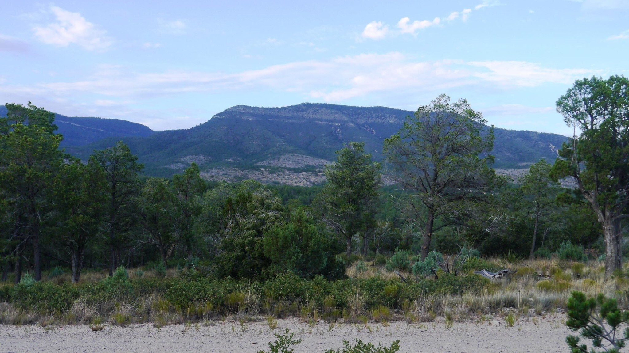 Electrum, Timberon, NM for sale Building Photo- Image 1 of 1