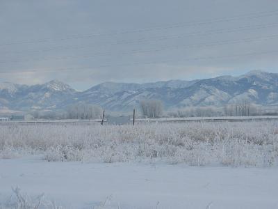 225 Laura Louise Ln, Bozeman, MT for lease - Primary Photo - Image 1 of 4