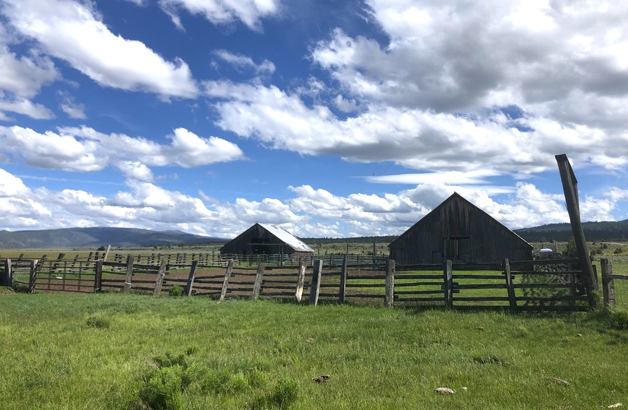 N Highway 139, Susanville, CA for sale - Building Photo - Image 1 of 1