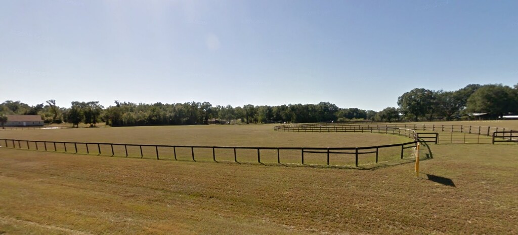 3159 NW 155th St, Reddick, FL for sale Primary Photo- Image 1 of 1