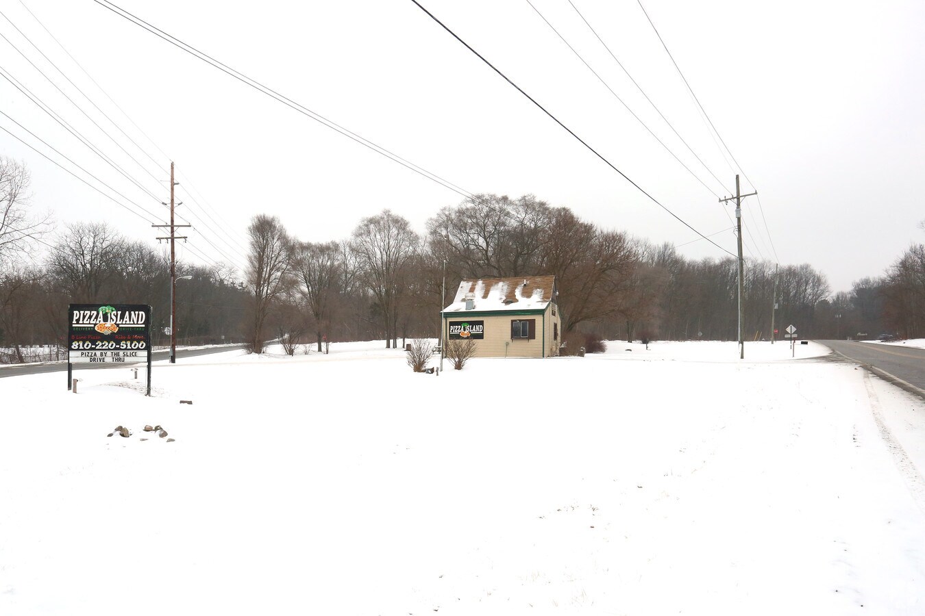 5033 Chilson Rd, Howell, MI 48843