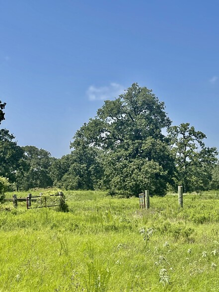 FM 933 Patton Lake rd, Aquilla, TX for sale - Other - Image 3 of 7