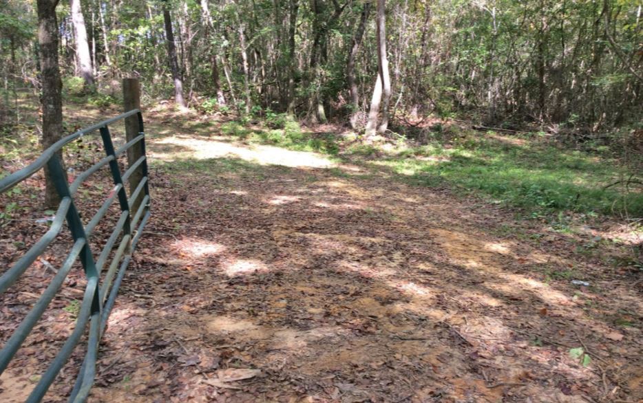 1 Fairview Church Rd, Grady, AL for sale - Primary Photo - Image 1 of 1