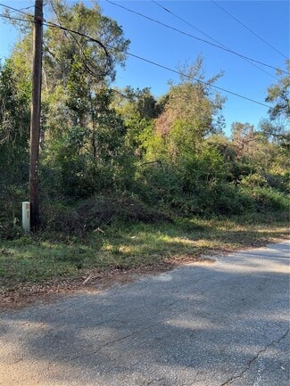 More details for County Road 690, Webster, FL - Land for Sale