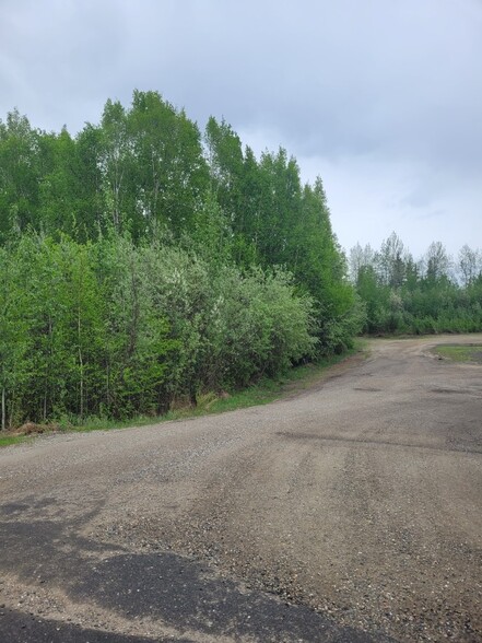 NHN Badger Road, North Pole, AK for sale - Primary Photo - Image 1 of 7