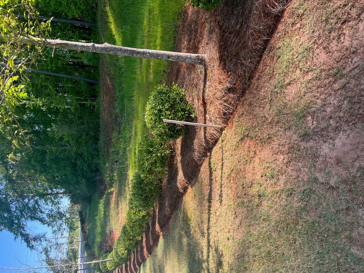 Lot 4 Timberbrook Drive, Sharpsburg, GA 30277 4 Timberbrook Sharpsburg, GA