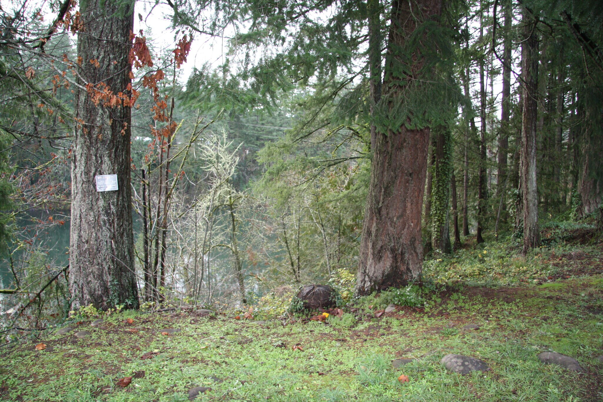 600 SW Beech Rd, Estacada, OR 97023 - Red Fox Motel | LoopNet