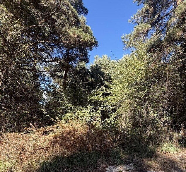 Land in Boñar for sale - Building Photo - Image 3 of 8