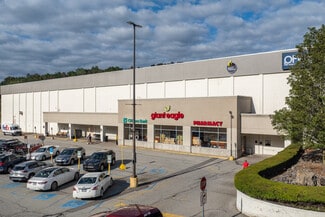 More details for 230 Rodi Rd, Pittsburgh, PA - Retail for Lease