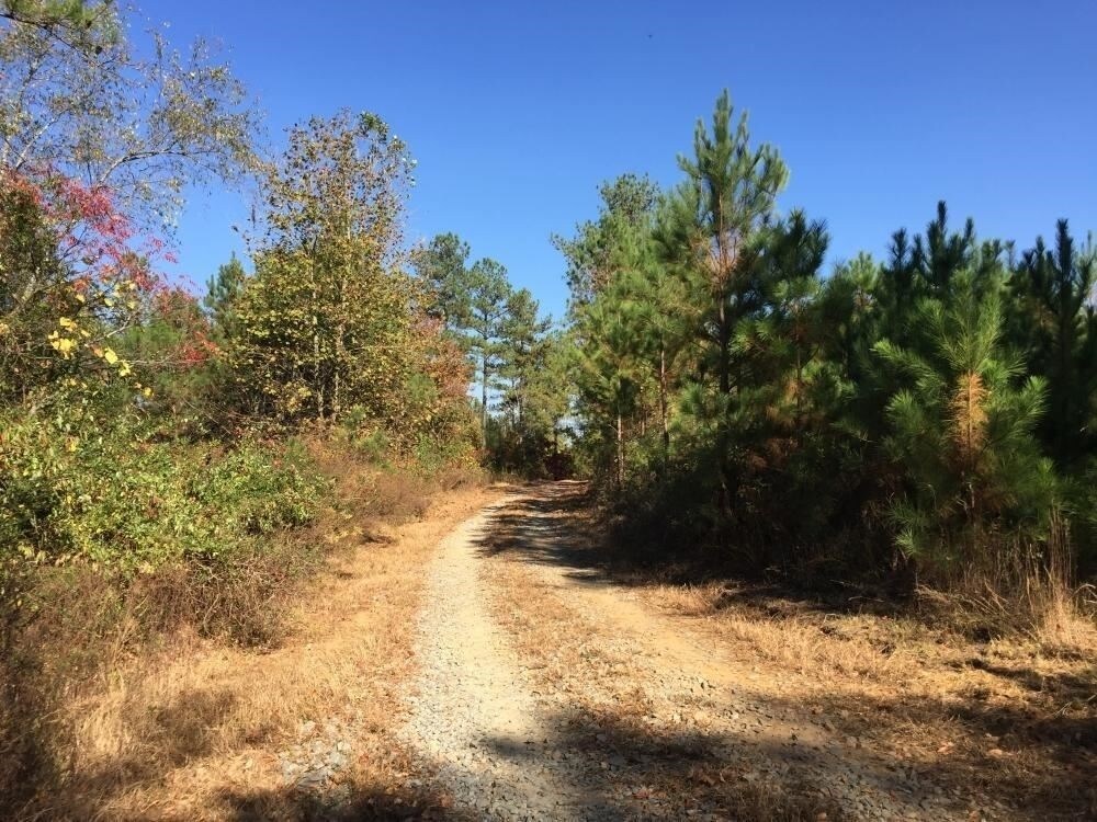 0 Big Ridge Rd, Talking Rock, GA 30175