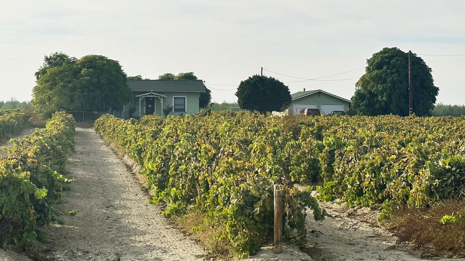 9615 S Clovis Ave, Fowler, CA 93625