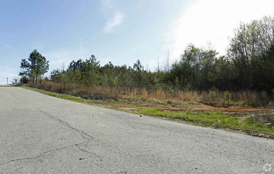 Industrial Park Dr, Biscoe, NC for sale - Primary Photo - Image 1 of 1