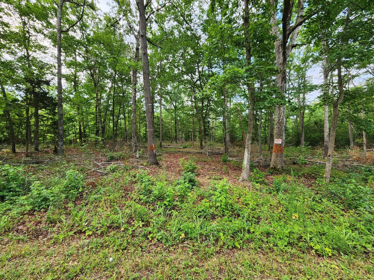 3555 Baptist Church, Nanjemoy, MD 20662 Land for Sale