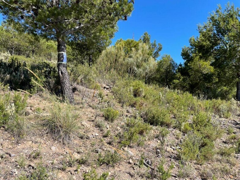 Land in Carataunas for sale - Building Photo - Image 3 of 8