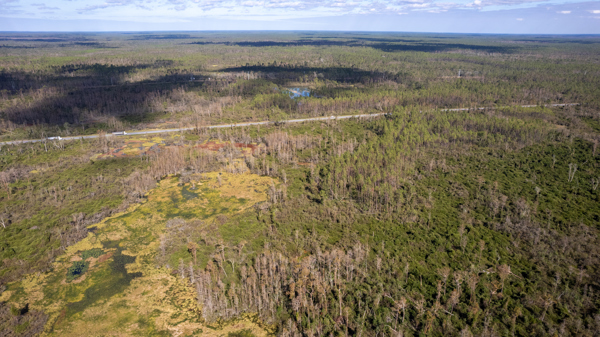 US Hwy 27 hwy, Perry, FL for sale - Building Photo - Image 1 of 9