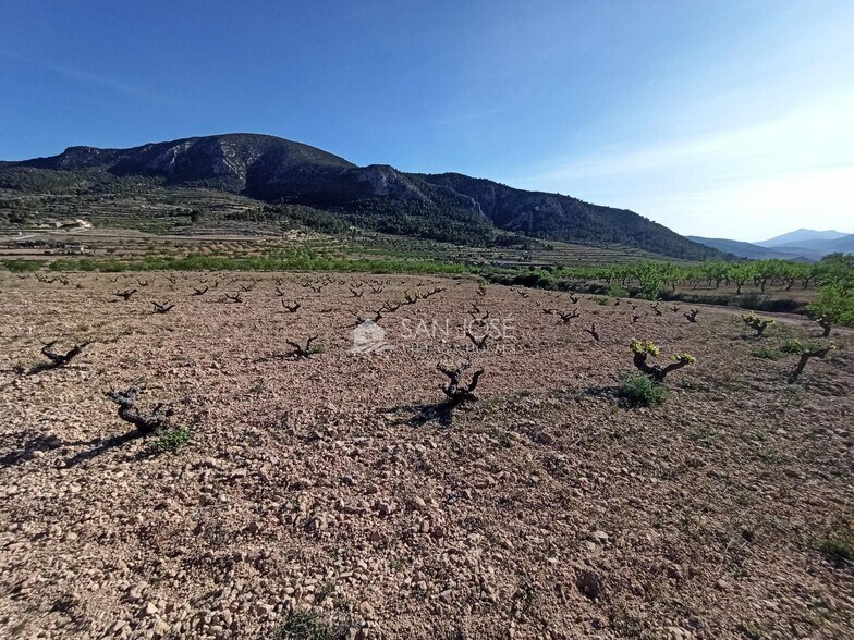 Land in Algueña for sale - Building Photo - Image 1 of 21