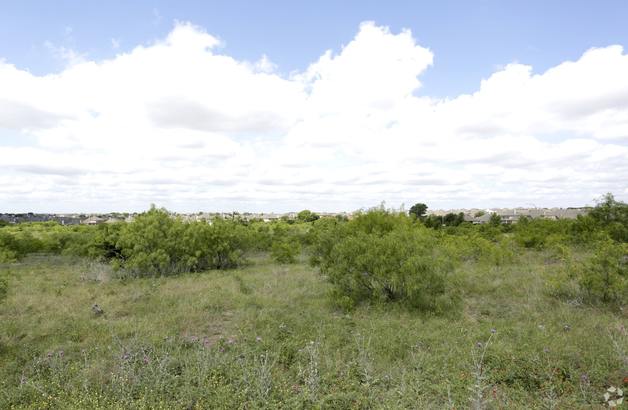 8851 N Beach St, Fort Worth, TX for sale Primary Photo- Image 1 of 1