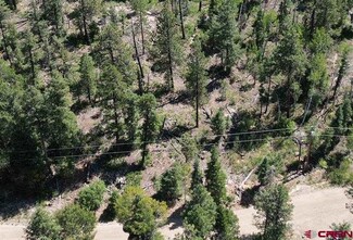 More details for 48 Ponderosa Trl, Durango, CO - Land for Sale