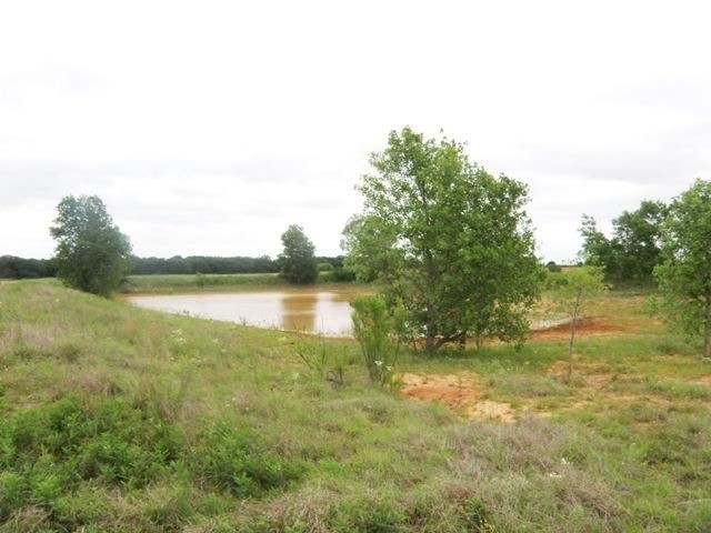 433 CR, De Leon, TX for sale - Building Photo - Image 1 of 1