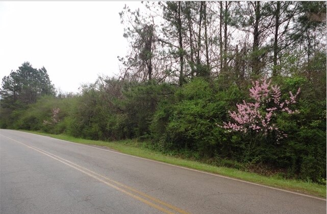 0 Gordon Rd, Lagrange, GA for sale Primary Photo- Image 1 of 1