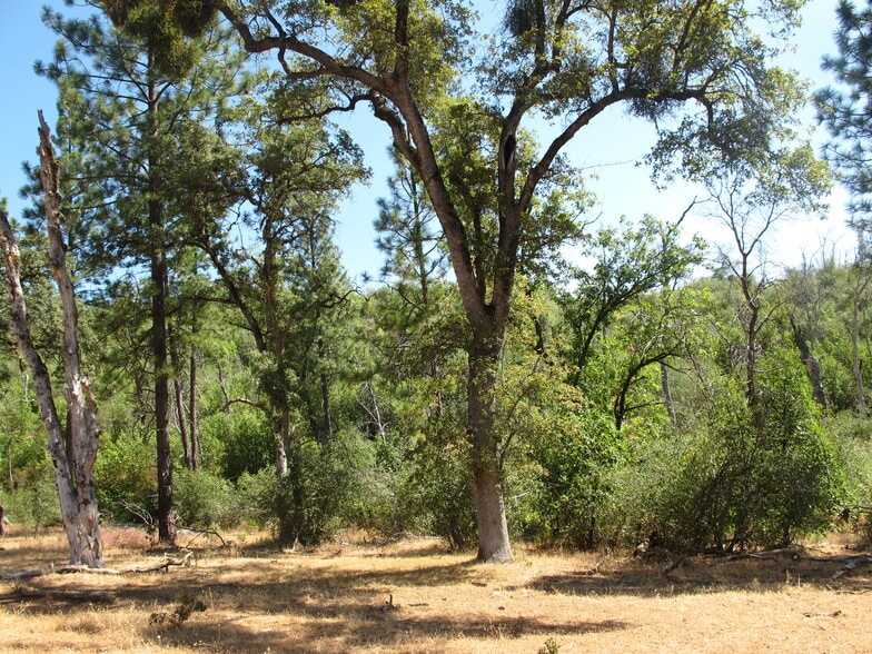 Lake Francis Extension Rd, Dobbins, CA 95935