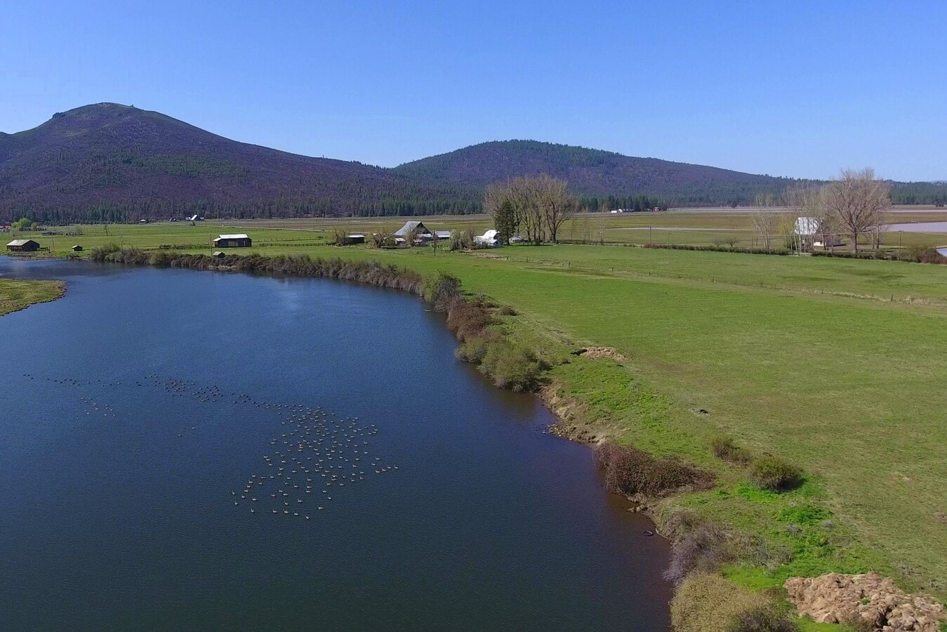 26155 Glenburn Rd, Fall River Mills, CA, 96028 Agricultural Land For