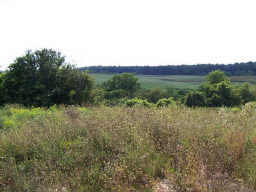 2040 Brace Rd, East Bloomfield, NY for sale - Primary Photo - Image 1 of 1