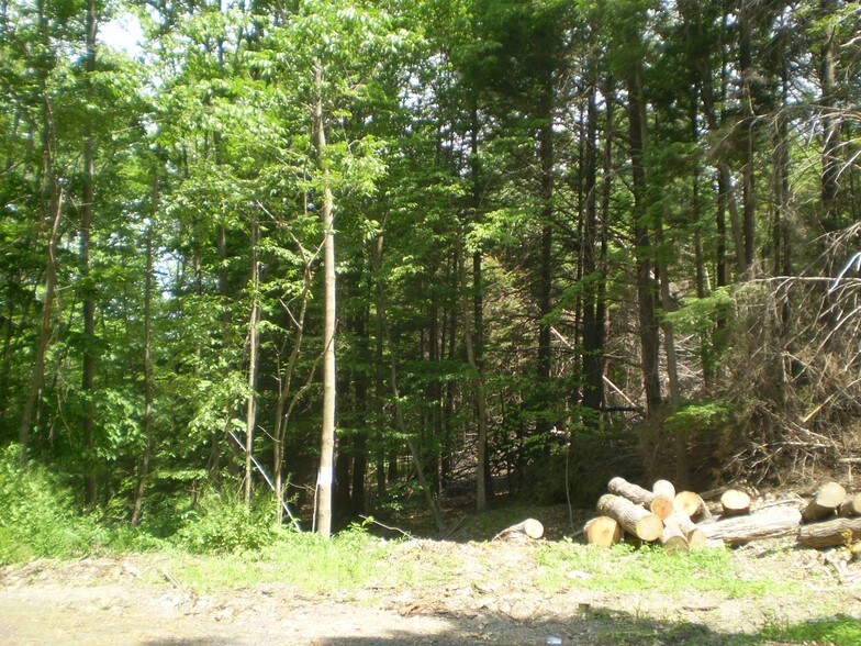 1000 Biscayne Ter, Endwell, NY for sale - Primary Photo - Image 1 of 1