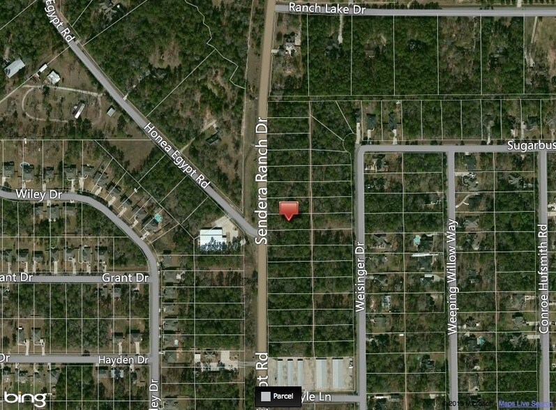 Honea Egypt Rd, Magnolia, TX 77354