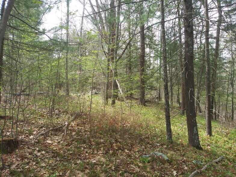 U.S. Route 6, Andover, CT for sale - Primary Photo - Image 1 of 1