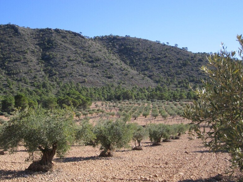 Land in MURCIA for sale - Building Photo - Image 2 of 6
