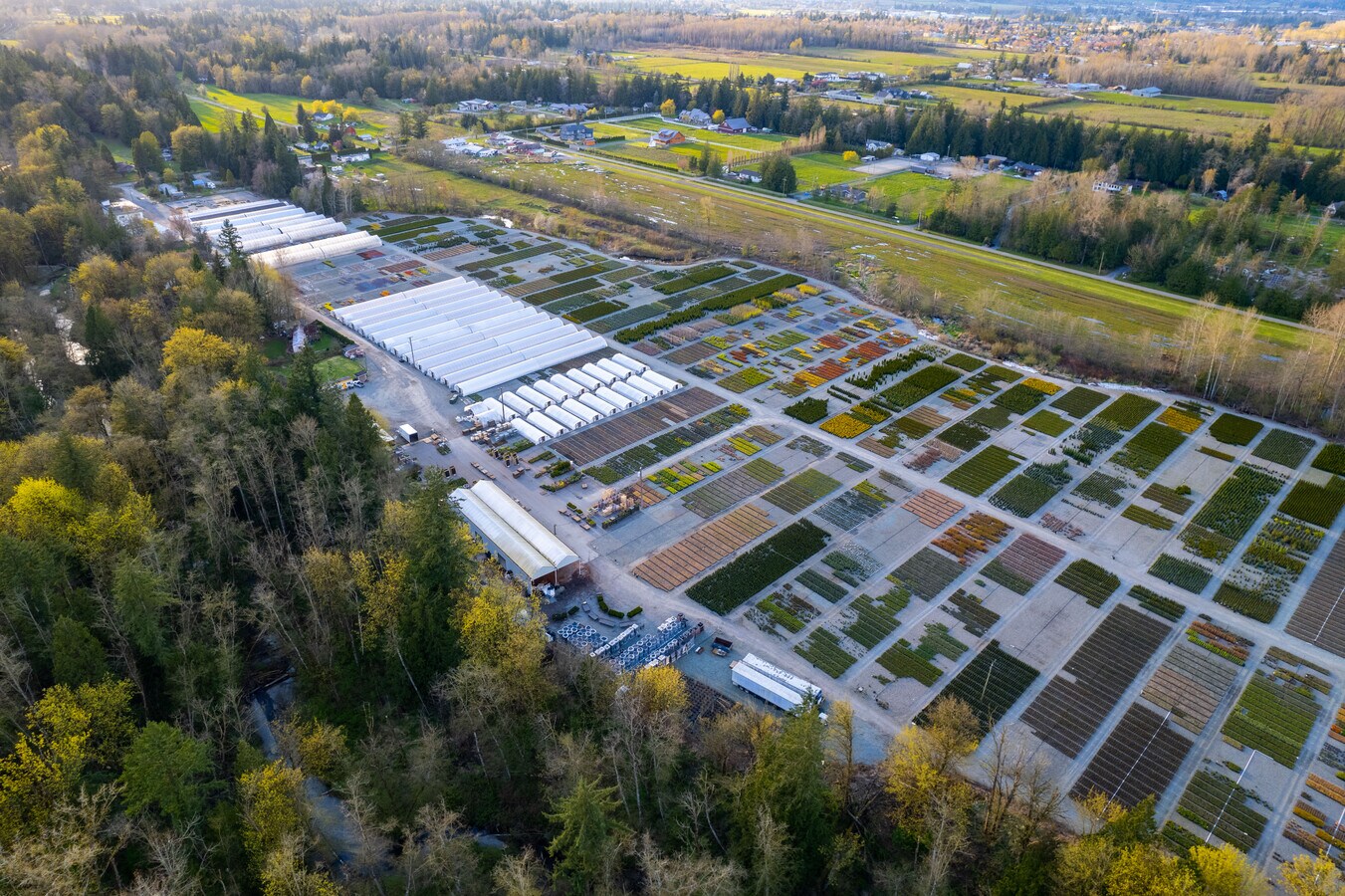 36663712 224 St, Langley, BC V2Z 2G7 Linnaea Nurseries