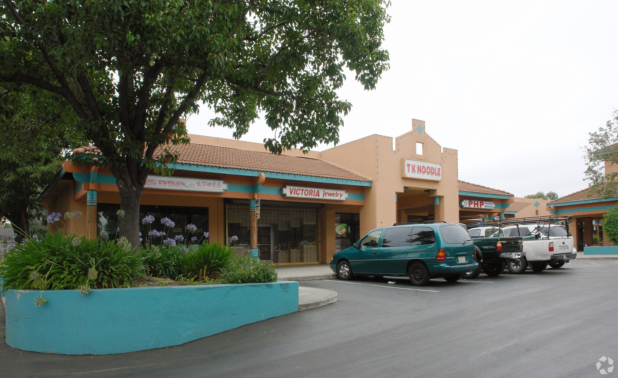 17101834 Tully Rd, San Jose, CA 95122 Lion Plaza