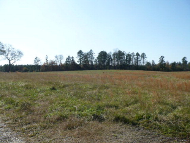 10851 Highway 280/431 N, Salem, AL for sale Primary Photo- Image 1 of 1