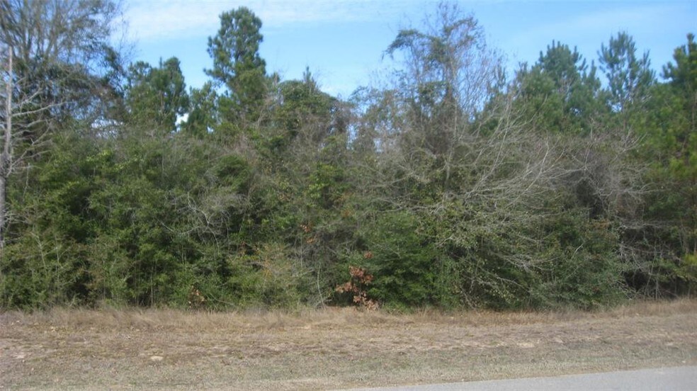 26072 Crown Ranch Blvd, Montgomery, TX 77316