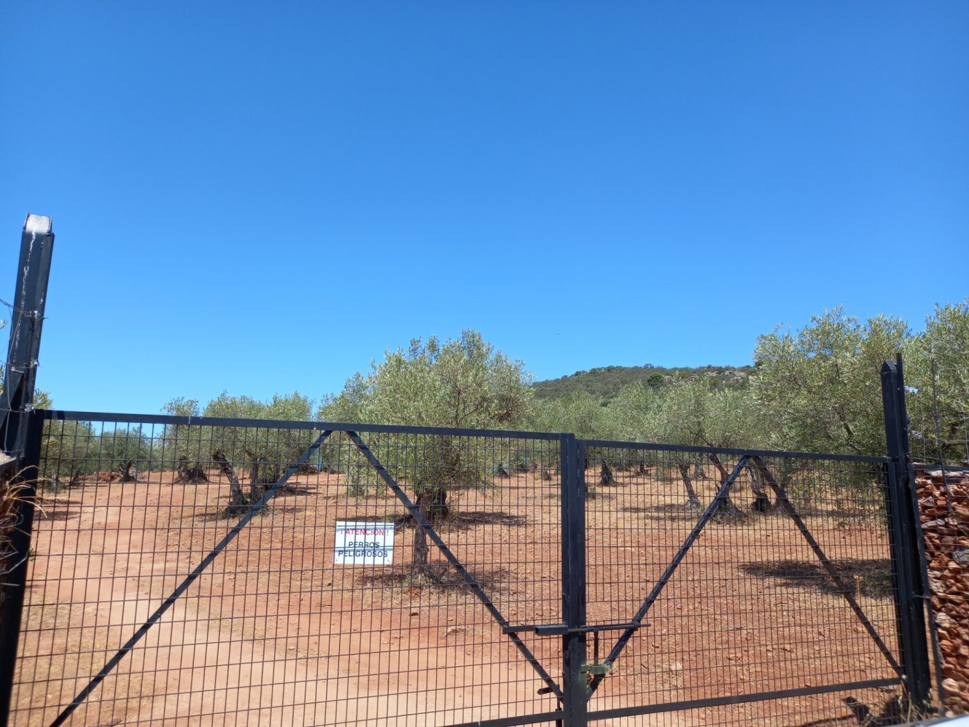 Land in Miajadas for sale Building Photo- Image 1 of 12