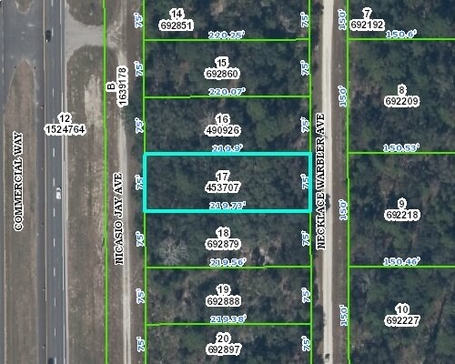 17286 Nicasio Jay Ave, Brooksville, FL for sale Primary Photo- Image 1 of 1