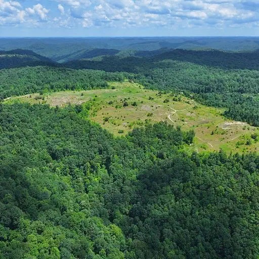 Highway 80, Clayhole, KY for sale - Primary Photo - Image 1 of 1