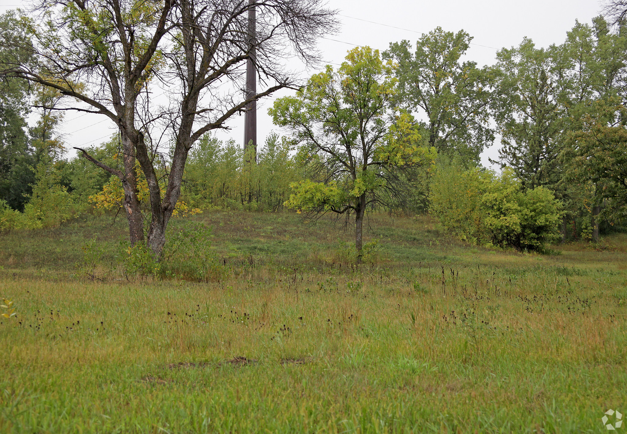 1023 3rd Ave E, Alexandria, MN for sale Primary Photo- Image 1 of 1