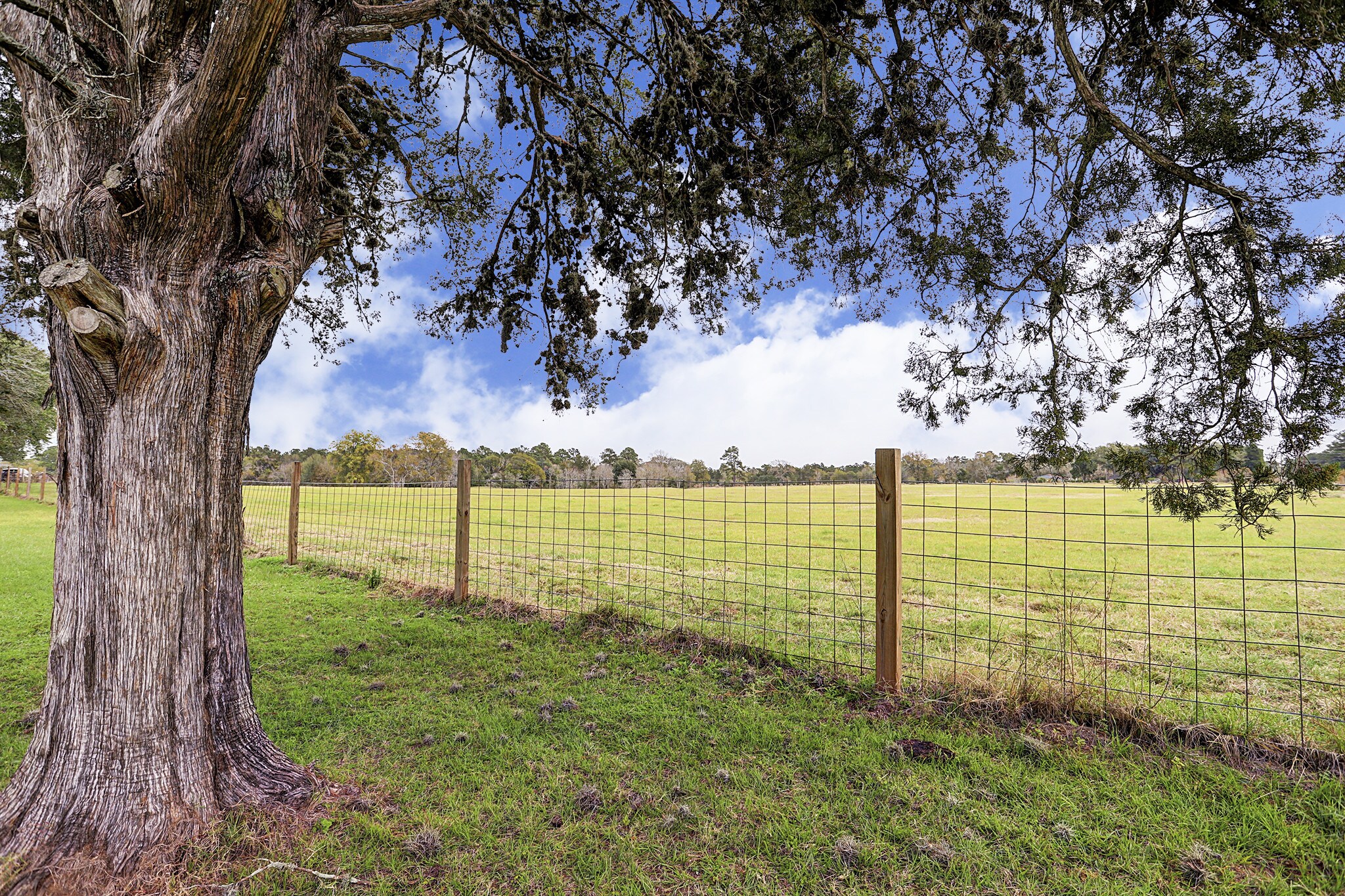 0 Magnolia Rd, Hockley, TX 77447 51,546 per Acre (97.01 +/ Total