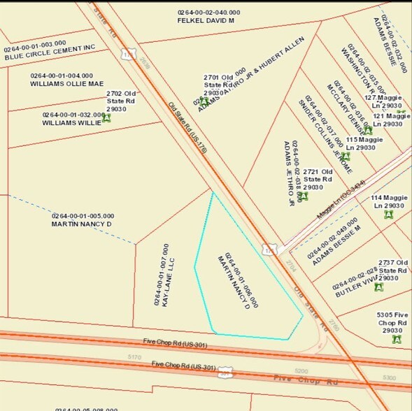 0 Five Chop Rd, Orangeburg, SC for sale - Primary Photo - Image 1 of 1