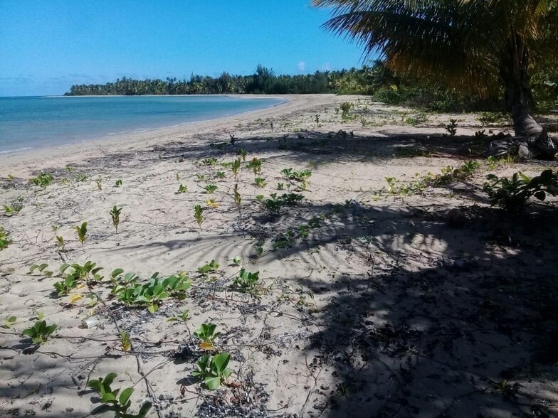 Land in Frontera, Santa Cruz de Tenerife for sale - Aerial - Image 2 of 5