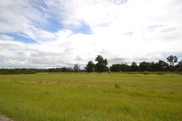 23124 County Road 62 S, Robertsdale, AL for sale Primary Photo- Image 1 of 1