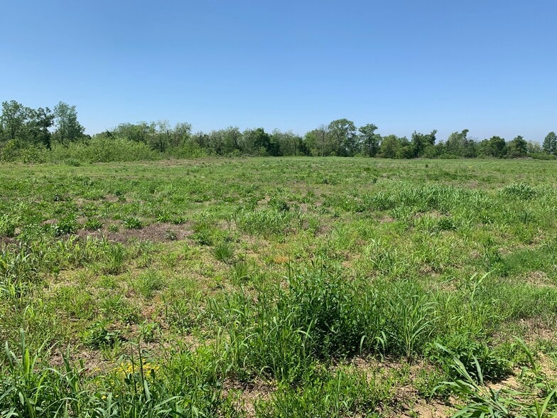 000E-2C Highway 61, Natchez, MS for sale - Building Photo - Image 1 of 3