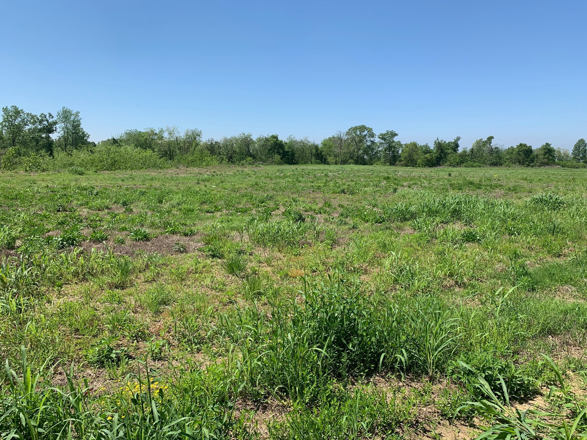 000E-2C Highway 61, Natchez, MS for sale Building Photo- Image 1 of 4