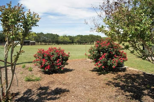 601 County Road 340A, Burnet, TX for sale Primary Photo- Image 1 of 1