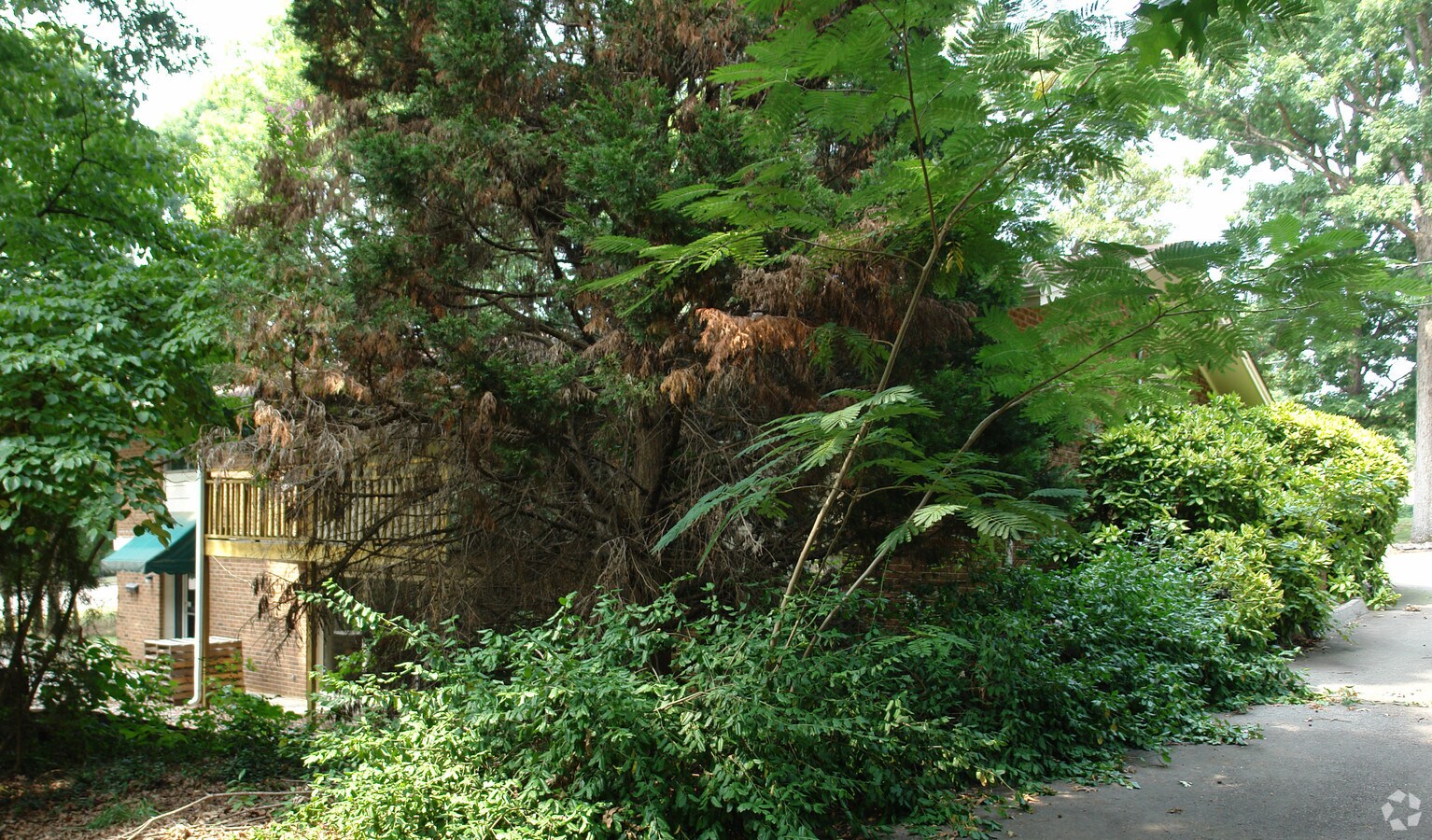 7700 Six Forks Rd, Raleigh, NC 27615